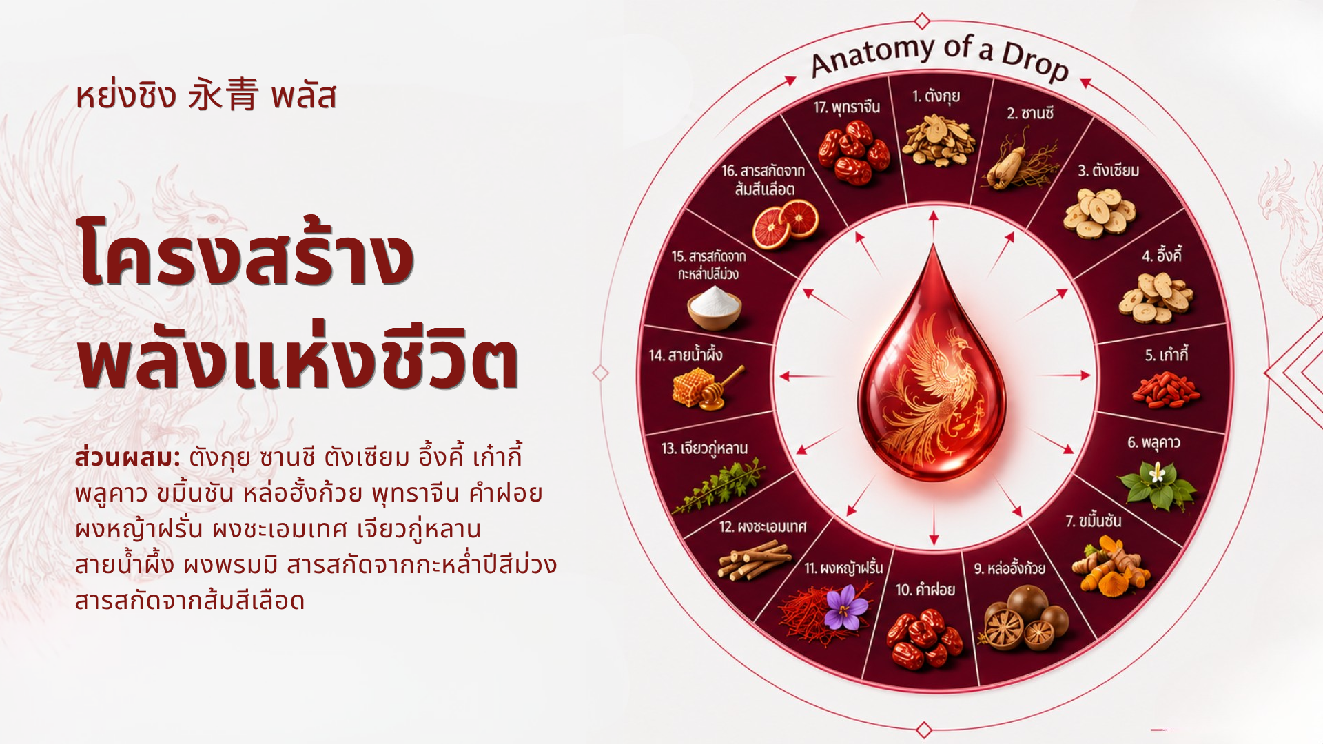 ข้อมูลหย่งชิง พลัส