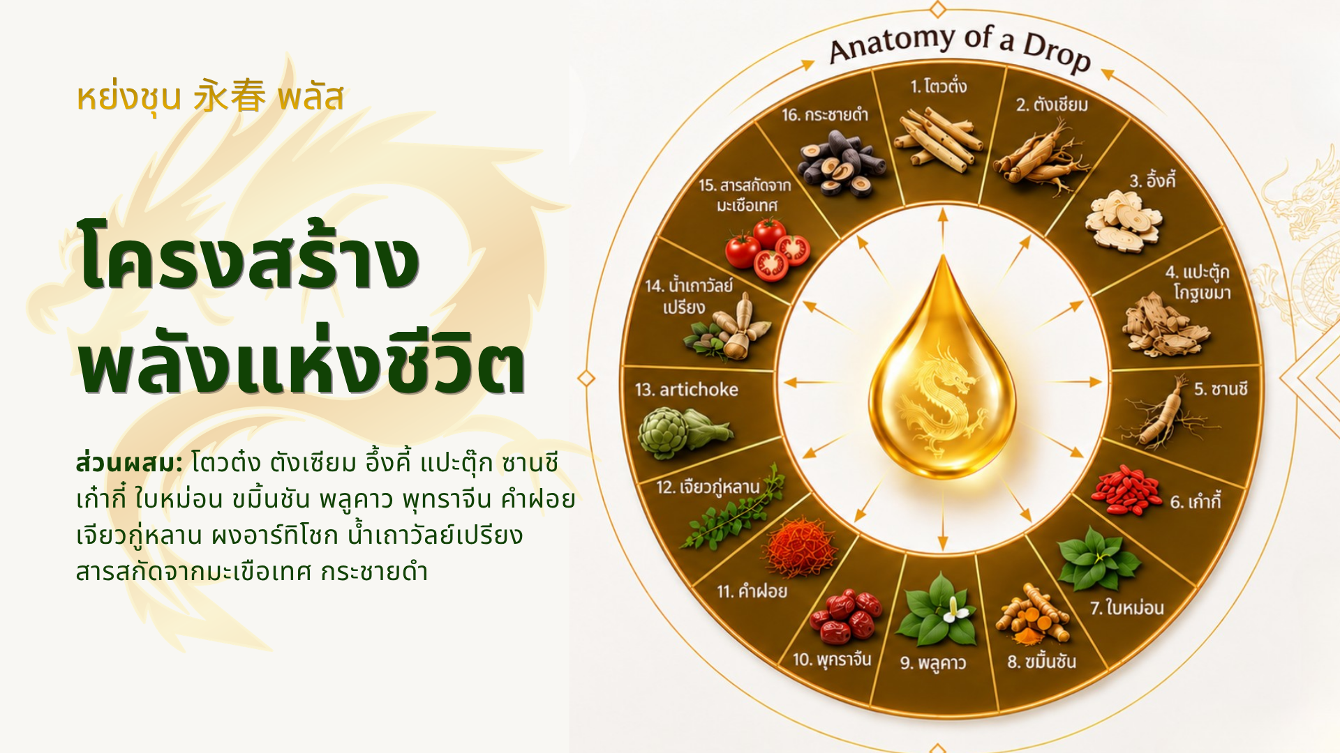 ข้อมูลหย่งชุน พลัส